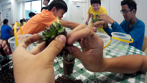 Creating their very own mini-gardens
